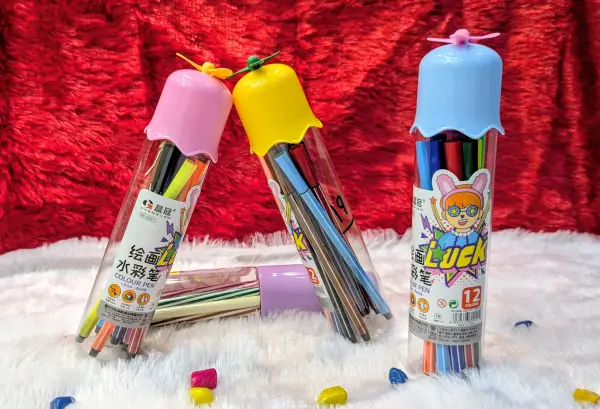 12 pc Set Color Pen with Bottle