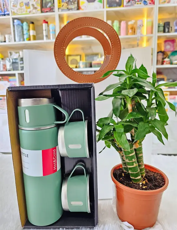 Harmony Essentials Gift Set – Flask Combo & Lucky Plant