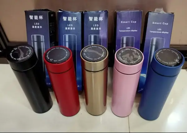 LED Temperature Display Smart Water Cup / Bottle